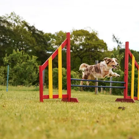 Hof Koehne - Altes - Katze 公寓 施马伦贝格