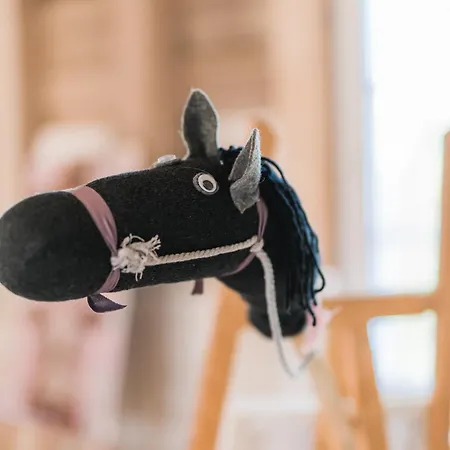 Hof Koehne - Altes - Katze 公寓 *