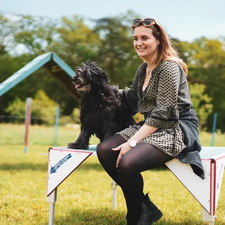 公寓 Hof Koehne - Altes - Katze 施马伦贝格