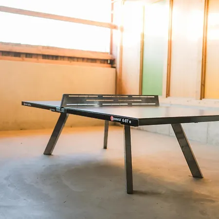 Hof Koehne - Altes - Katze *