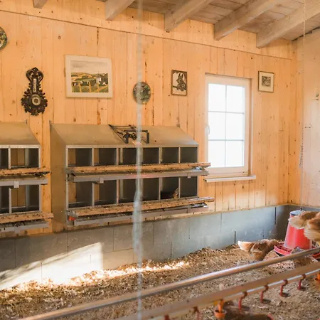 Hof Koehne - Altes - Katze 公寓 施马伦贝格