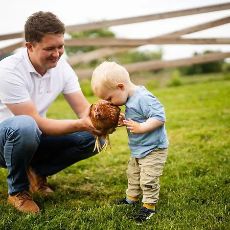 Hof Koehne - Altes - Katze *