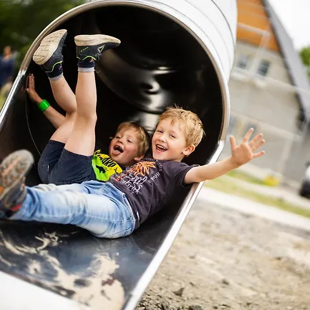 公寓 Hof Koehne - Altes - Katze