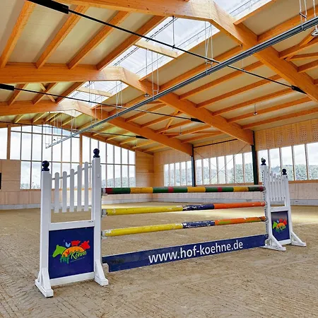 Hof Koehne - Altes - Katze 公寓 施马伦贝格