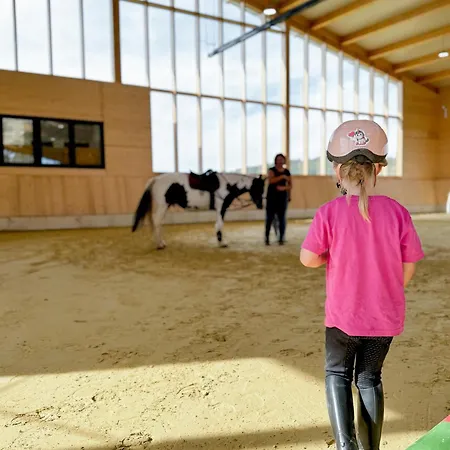 Hof Koehne - Altes - Katze 公寓 *