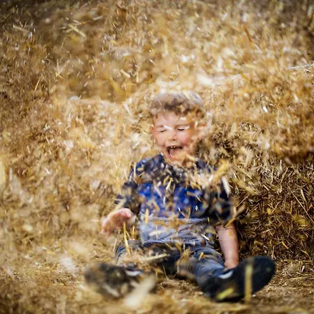 Hof Koehne - Altes - Katze * 施马伦贝格