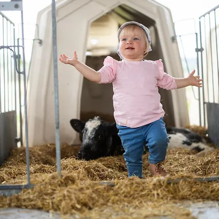 公寓 Hof Koehne - Altes - Katze