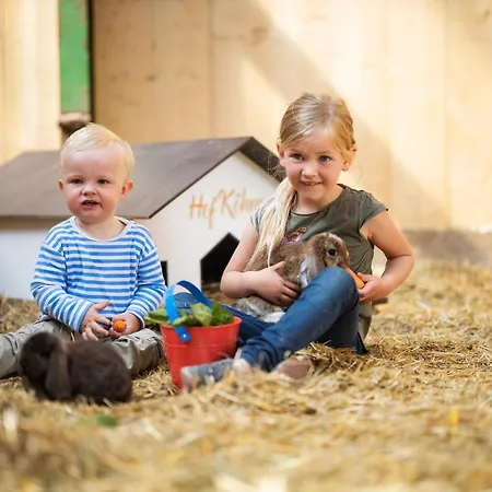 公寓 Hof Koehne - Altes - Katze 施马伦贝格