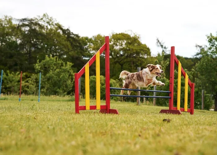 Hof Koehne - Altes - Katze Appartement Schmallenberg