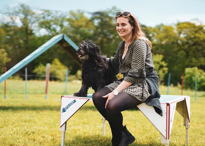 Appartement Hof Koehne - Altes - Katze Schmallenberg