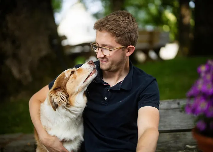 Hof Koehne - Altes - Katze *