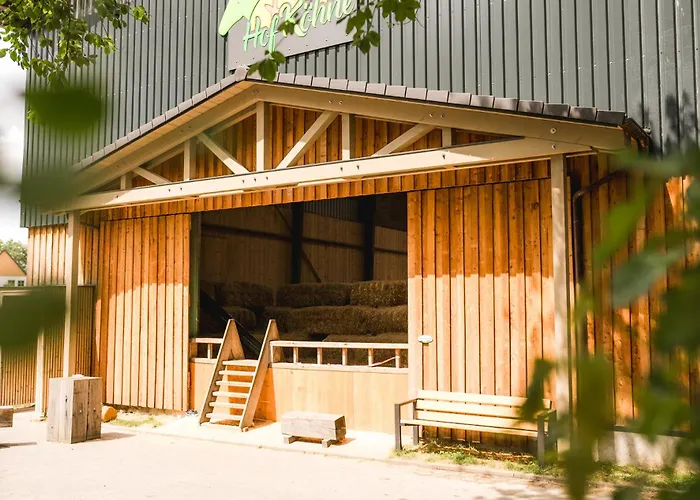 Hof Koehne - Altes - Katze Schmallenberg