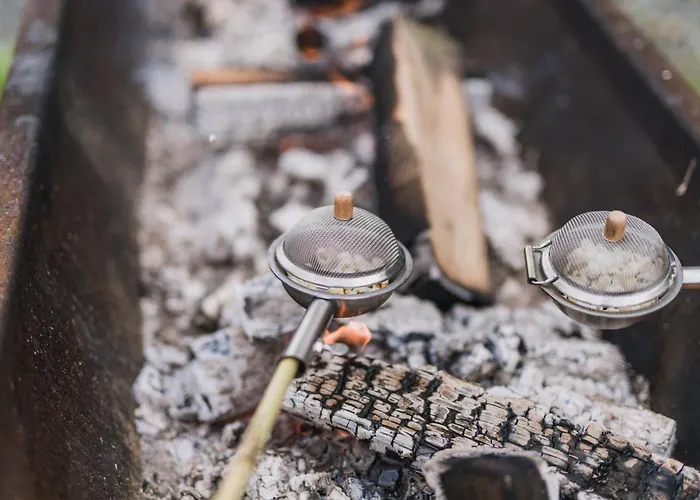 Hof Koehne - Altes - Katze * Schmallenberg
