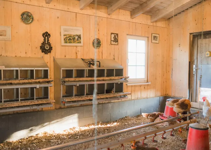 Hof Koehne - Altes - Katze Appartement Schmallenberg