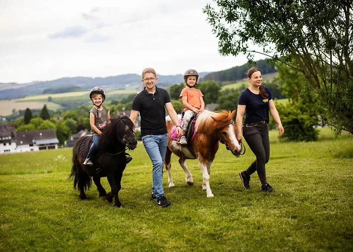 Hof Koehne - Altes - Katze