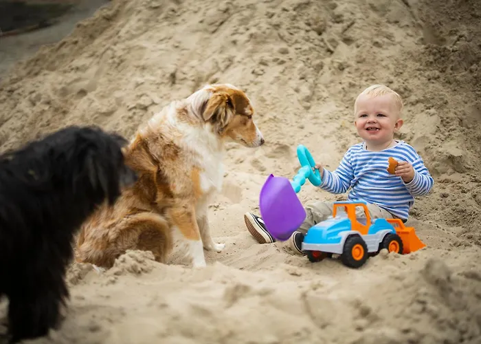 Hof Koehne - Altes - Katze Appartement