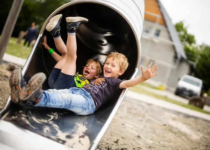 Appartement Hof Koehne - Altes - Katze