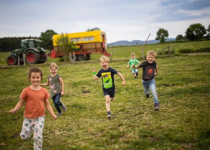 Hof Koehne - Altes - Katze * Schmallenberg