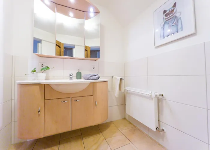 Hof Koehne - Altes - Katze Schmallenberg