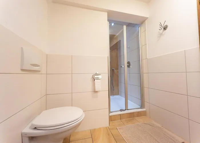 Hof Koehne - Altes - Katze