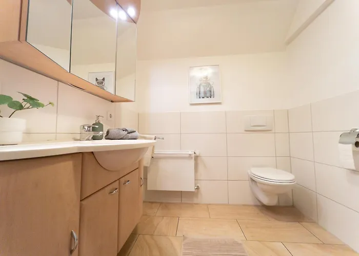 Appartement Hof Koehne - Altes - Katze Schmallenberg