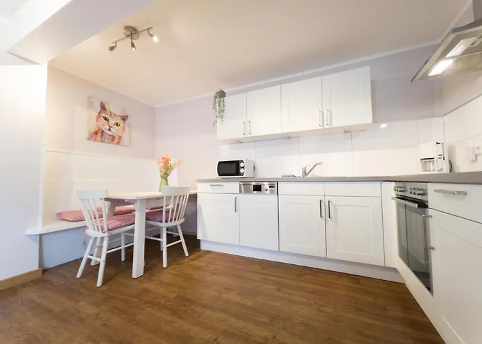 Hof Koehne - Altes - Katze