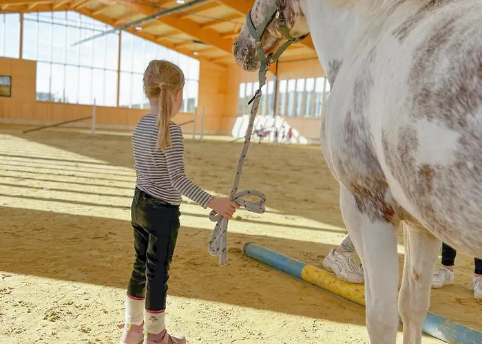 Hof Koehne - Altes - Katze Schmallenberg