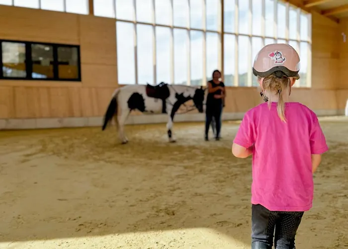 Hof Koehne - Altes - Katze Appartement *